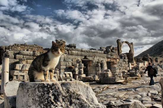 Efes Antik Kenti-3