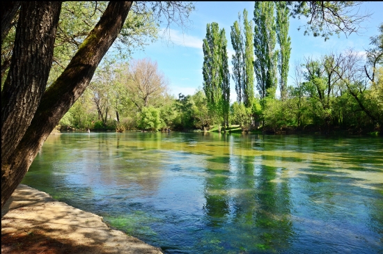 Bosna’dan....