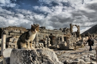 Efes Antik Kenti-3 - Fotoraf: Selim Belen fotoraflar fotoraf galerisi. 