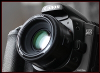 Canon 20 D  ( htiyar ) - Fotoraf: Hakan Ural fotoraflar fotoraf galerisi. 