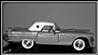 Chevrolet 1956 Tek Kap.  .  . - Fotoraf: Melih zcan fotoraflar fotoraf galerisi. 