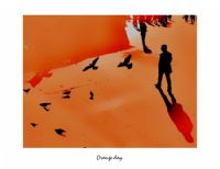 Orange Day - Fotoraf: Nafi en fotoraflar fotoraf galerisi. 