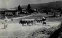 68 Kuşağı