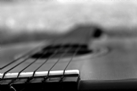 Guitar... - Fotoraf: Cahit Ylmaz fotoraflar fotoraf galerisi. 