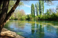 Bosna’dan....