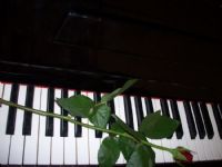 Piano Ve Gl....