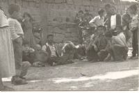 Ayı Oynatıcı