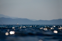 Denizin Iklar - Fotoraf: Bekir Karaca fotoraflar fotoraf galerisi. 