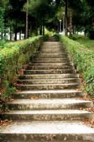 Stairway To Heaven - Fotoraf: Tolga Aslantrk fotoraflar fotoraf galerisi. 