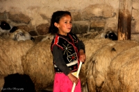 Koyunlarn inde Bir Kuzu! - Fotoraf: Ergin Sar fotoraflar fotoraf galerisi. 