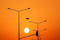 Street Lamps - Fotoraf: Cemal Sepici fotoraflar fotoraf galerisi. 
