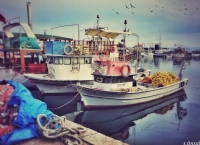 Limanda Kayıklar