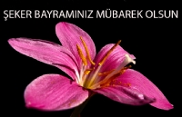 Bayram - Fotoraf: Ahmet Meng fotoraflar fotoraf galerisi. 