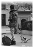 Kedi Ve ocuk - Fotoraf: Huzeyfe Karabyk fotoraflar fotoraf galerisi. 