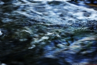 Nehir - Fotoraf: Serdar Gozen fotoraflar fotoraf galerisi. 