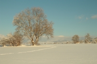 Kar Beyazdr - Fotoraf: Zbeyde Altug fotoraflar fotoraf galerisi. 
