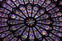 Notre Dame - Fotoraf: Ayenur Halcolu fotoraflar fotoraf galerisi. 