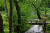 Manyas Deirmenboaz Ky - Fotoraf: Seyfi eren fotoraflar fotoraf galerisi. 